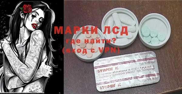 ГАЛЛЮЦИНОГЕННЫЕ ГРИБЫ Абаза