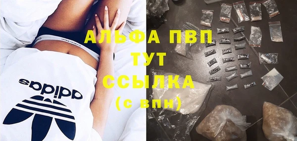 ГАЛЛЮЦИНОГЕННЫЕ ГРИБЫ Абаза