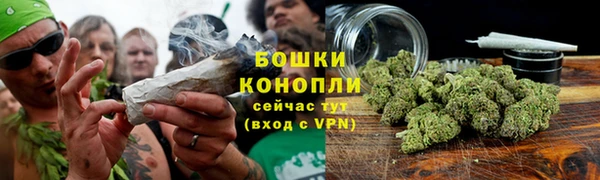 ГАЛЛЮЦИНОГЕННЫЕ ГРИБЫ Абаза